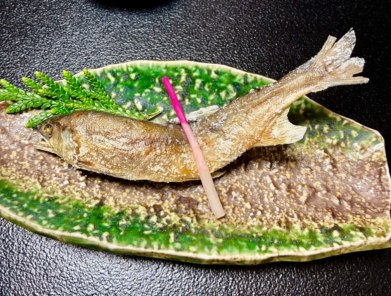 photo of a dried, salted grayish brown fish on a green and brown plate with a pink tube resting on top